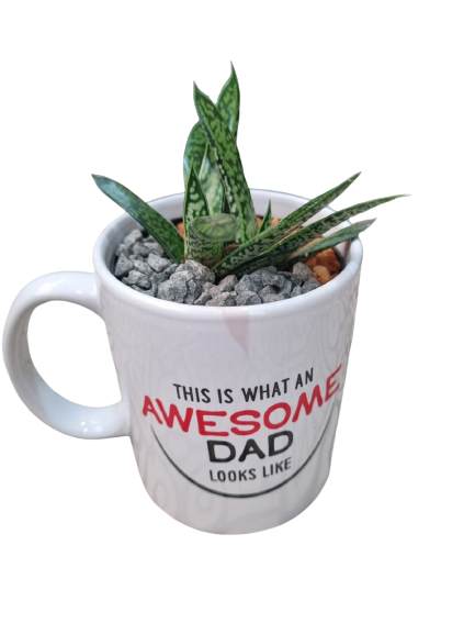 Happy Father'sday Cups