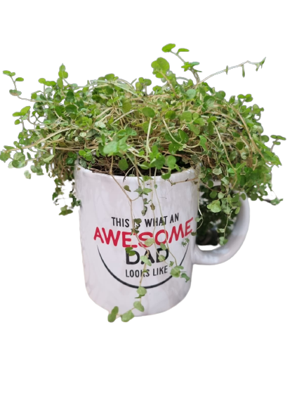 Happy Father'sday Cups