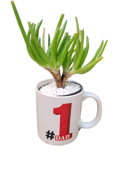 Happy Father'sday Cups