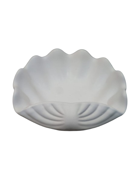 Clam Shell Succulent Planter