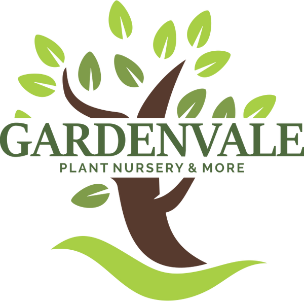Gardenvale