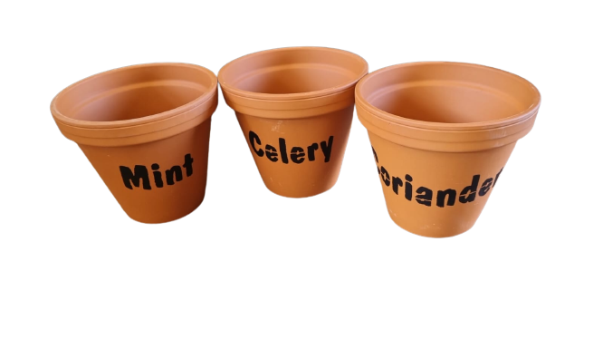 TC Stan Herb Pot 8cm
