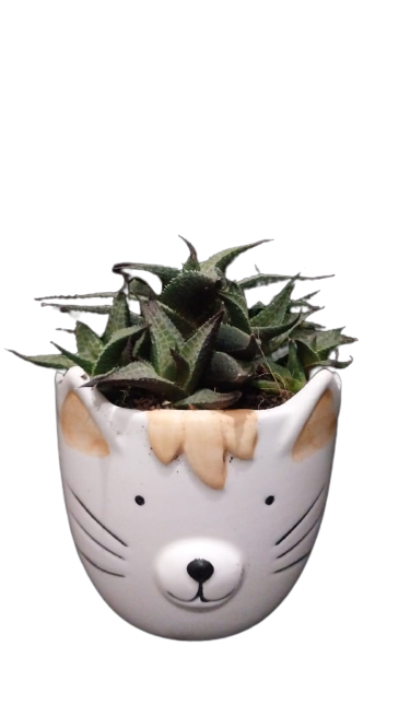 Mothers Day Cat Novelty 9cm