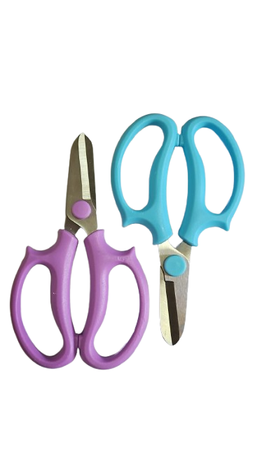 Professional Pruning Scissors