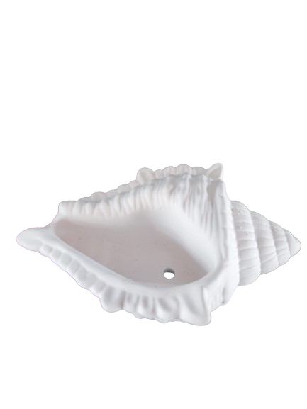 Large Seashell Succulent planter
