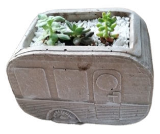 Succulent in Cement caravan