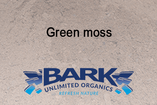 Green Moss - 100G