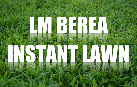 LM Berea Instant Lawn/m²