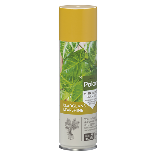 Pokon Leafshine - 600ml