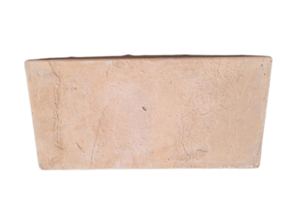 Tan Paver - 200 x 400 x 50