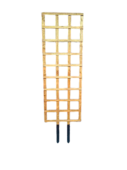 Trellises Two2