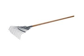 Medium Rake