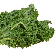 Kale Chou Moellier 6 Pack Seedling Tray