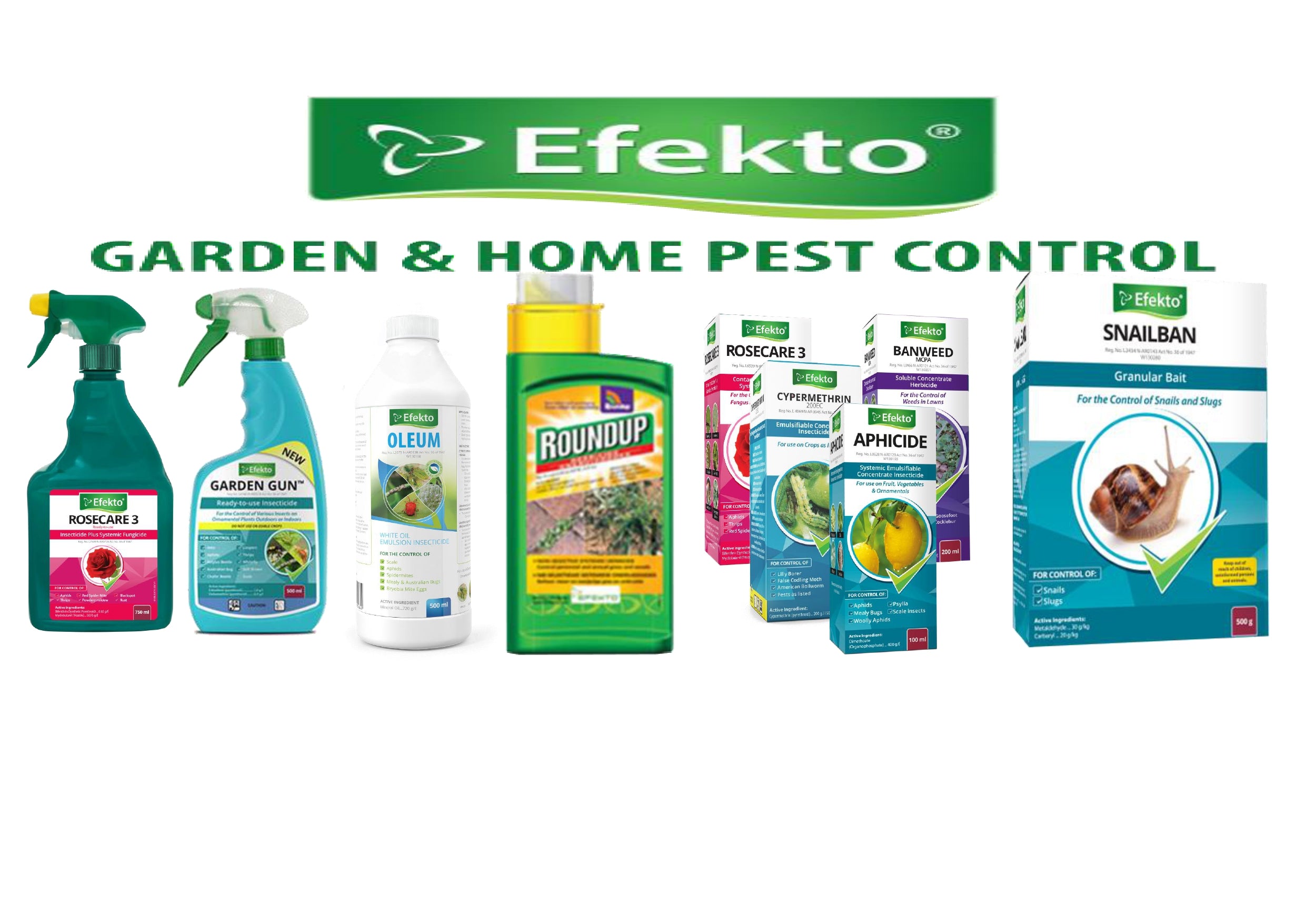 Pest Control – Gardenvale