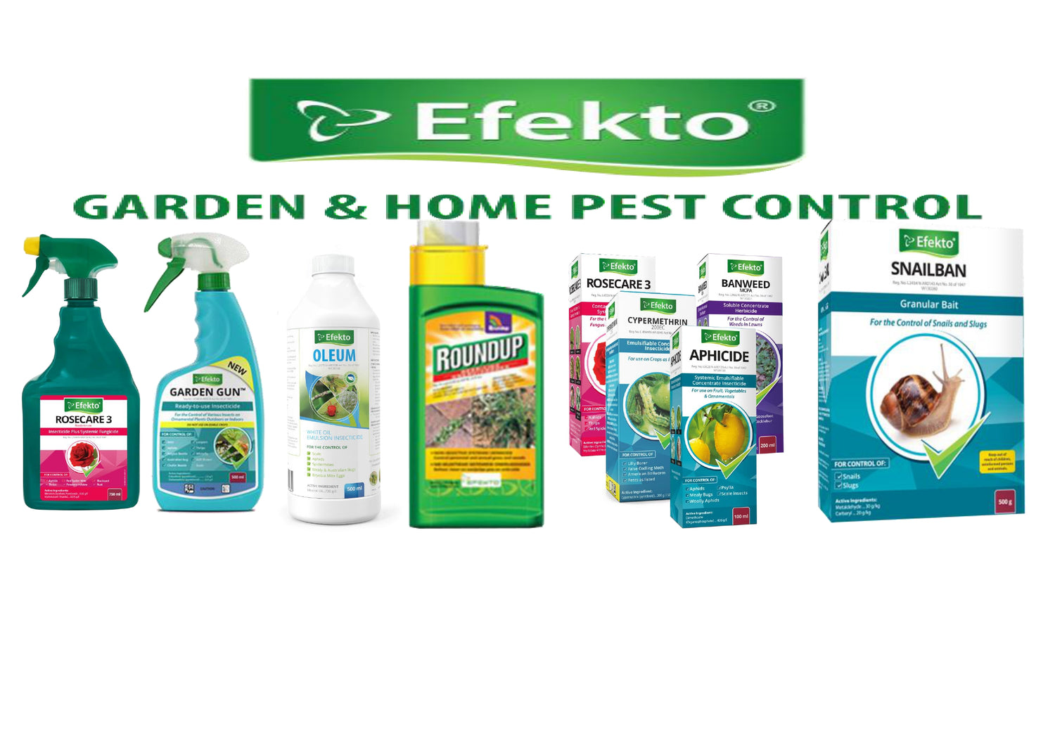 Pest Control