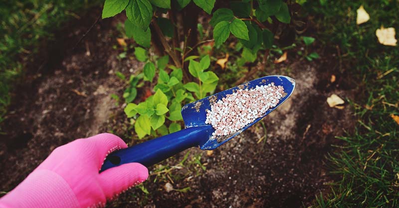 Fertilizers & Soil