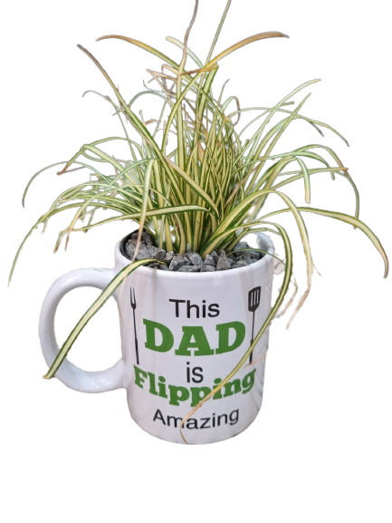 Happy Father'sday Cups