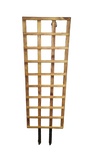 GV Trellis (Two2)
