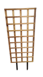GV Trellis(TWO3)