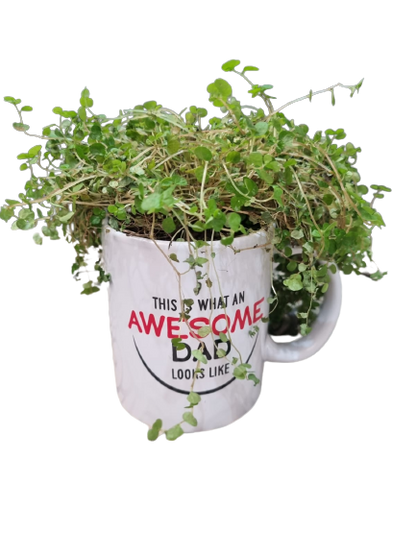 Happy Father'sday Cups