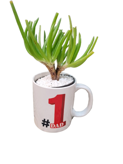 Happy Father'sday Cups