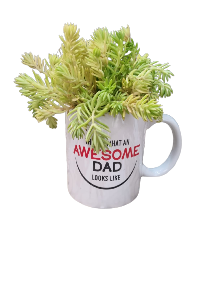 Happy Father'sday Cups