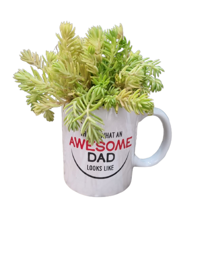 Happy Father'sday Cups