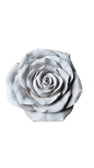 Large Cement Rose