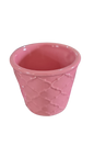 Ceramic Pot 6cm Mixed