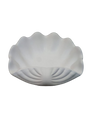 Clam Shell Succulent Planter