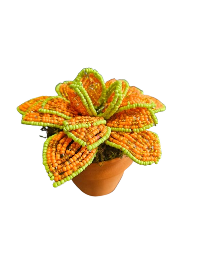 Beaded Echeveria Decoration Pot