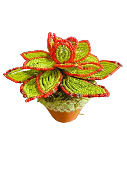 Beaded Echeveria Decoration Pot