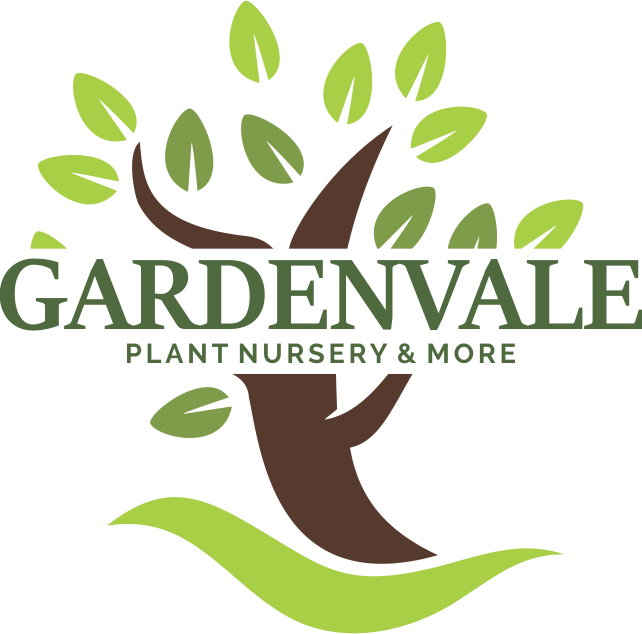 Gardenvale