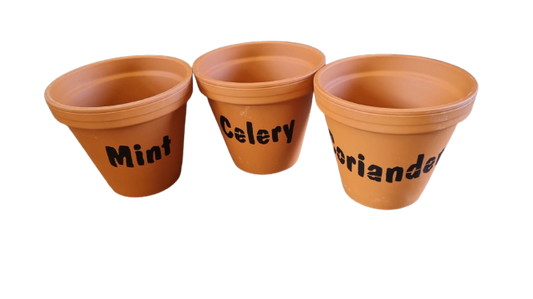 TC Stan Herb Pot 8cm