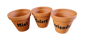 TC Stan Herb Pot 8cm