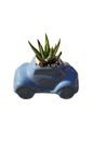 Ceramic Kids Range Succulents Assorted