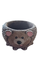 Large Hedgehog Pot Painted (C35-P)