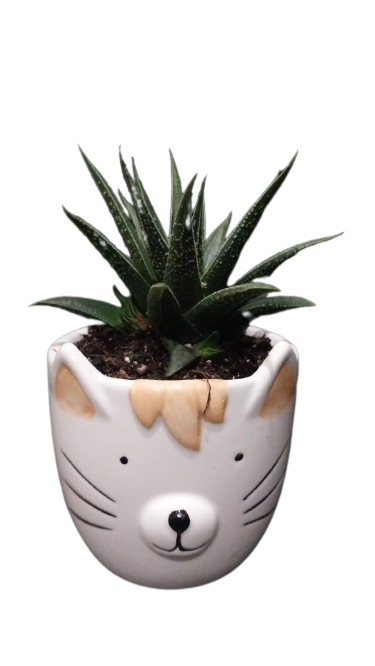 Mothers Day Cat Novelty 9cm