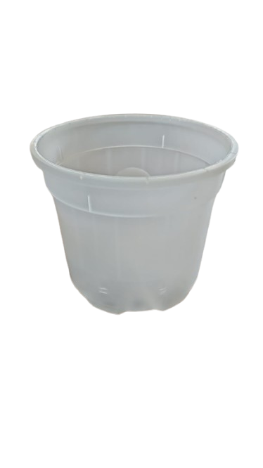 Shrub Pot Clear 16.5cm
