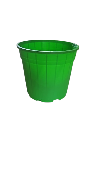 Pot Shrub green  T/C 20cm