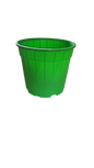 Pot Shrub green  T/C 20cm