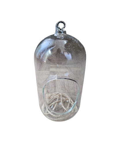 Glass Cylinder