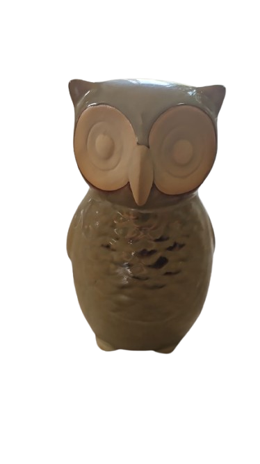 Ceramic Owl Decoration