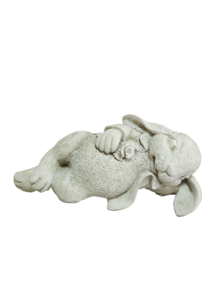 Large Rabbit Laying on Side