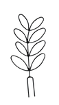 Leaf Shaped Climbing Plant Trainer