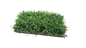 Elim Grass (Berea) Tray