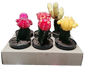 Cactus Crafted 8cm (Sold Separately)