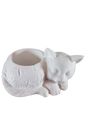 Sleeping Cat Succulent Planter