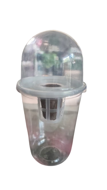 Hydroponic Plastic Planting Pot