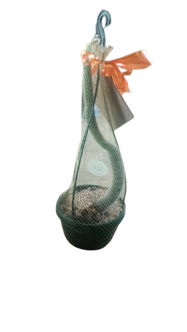 Cleistocactus Colademononis (Monkey Tail) 16cm
